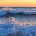 Tina Abbate - Facebook