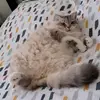 tinalabbate8 - @tinalabbate8 - TikTok