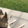 tinaappel106 - @tinaappel106 - TikTok