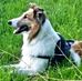 Christine Armbruster - Facebook
