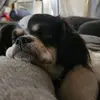 Tina Armbruster - @tina.armbruster - TikTok