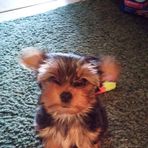 Tina Brubaker - Facebook