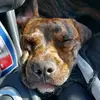 Tina Asher - @tina.asher - TikTok