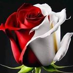 Tina Ata - Facebook