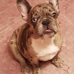 Tina Fonseca Avalos - @tinafonsecaavalos - Instagram