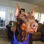 Tina Backus - @tmbackus - Instagram
