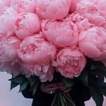 Tina Bacon - @tinabacon2012 - Instagram