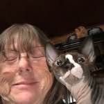 Tina Baugher - @tinabaugher19 - Instagram