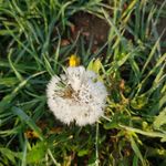 Tina Bayer - @bayertina - Instagram