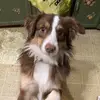 tinabeal34 - @tinabeal34 - TikTok
