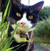 Tina Beasley - Facebook
