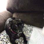 Tina Beaver - @yuffie1227 - Instagram