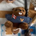Tina, the Canadian Beaver - @tinathebeaver - Instagram