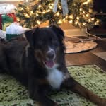 Tina Beeson - @tina.beeson.73 - Instagram