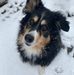 Tina Benzing - Facebook