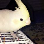 @__tina.bird__ - Instagram