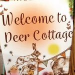Tina Bird - @deercottagethompsonnorfolk - Instagram