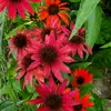 Tina Boatwright - @tina.boatwright - TikTok