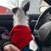 Tina Boudreau - Facebook