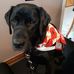 Tina Boudreau - Facebook