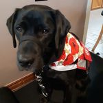Tina Boudreau - @boudreau9806 - Instagram