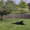 Tina Boudreau - @tina.boudreau1 - TikTok