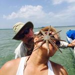 Tina Boudreau Sklarek - @tbsklarek - Instagram