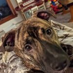 Tina Bourassa - @bourassa6972 - Instagram