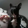 Tina Brault - @tinabrault1 - TikTok