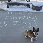 Tina Brick - Facebook