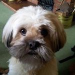 Tina Browne - @tinabrowne61 - Instagram