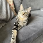 Tina Browne - @teespoon81 - Instagram