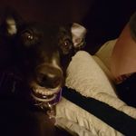 Tina Jayne Burbridge - @tinajayneburbridge - Instagram