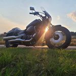 Tina Burdick - @tinamb5 - Instagram