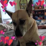 Tina Burdick - Facebook