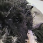 Tina Burdick - @tinatina1970 - Instagram