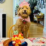 Tina Estella Burdick - @dog_flowers_charcuterie - Instagram