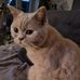 Tina Burrows - Facebook