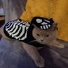 Tina Burrows - @tina.burrows - TikTok