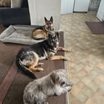 Tina Carrell - @tinacarrell - Instagram