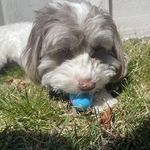 Tina Cavanaugh - @tina.cavanaugh.39 - Instagram