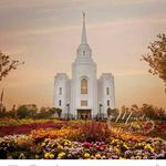 Tina Cavender - @tina_cavender - Instagram