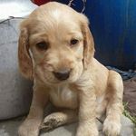 Martina Černá - @cerna.tina - Instagram