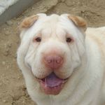Tina Chase - @butters_earth_therapy_angels_ - Instagram