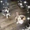tinachase213 - @tinachase213 - TikTok