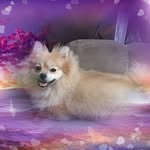 Tina Sims Clevenger - @tina.sims.14 - Instagram