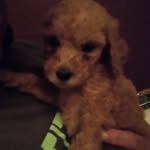 Tina Cormier - @calebberry17 - Instagram