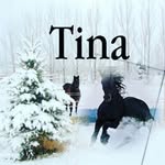 Tina Crigler - @tlm3kidz - Instagram