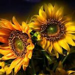 @tina.crisp - Instagram