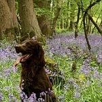 Tina Crisp - @tinacrisp2021 - Instagram